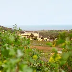 Daire La Punta Icod De Los Vinos
