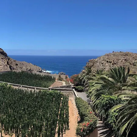 La Punta * Icod De Los Vinos