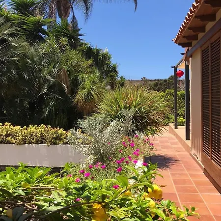 La Punta * Icod De Los Vinos