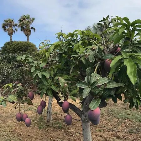La Punta Appartamento *