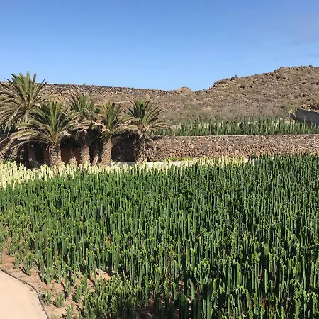 La Punta Appartamento *