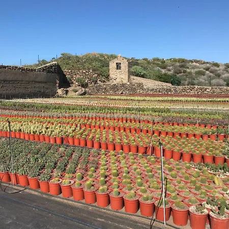 La Punta Appartamento *