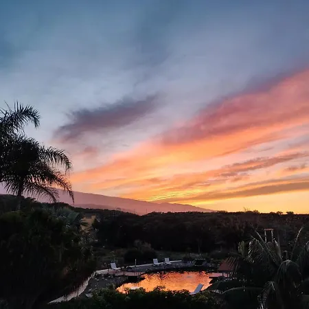 La Punta Appartamento Icod De Los Vinos