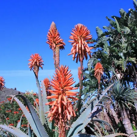 Appartamento La Punta Icod De Los Vinos