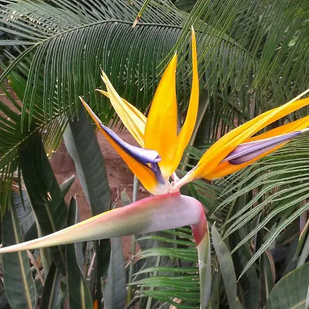 La Punta Appartamento *