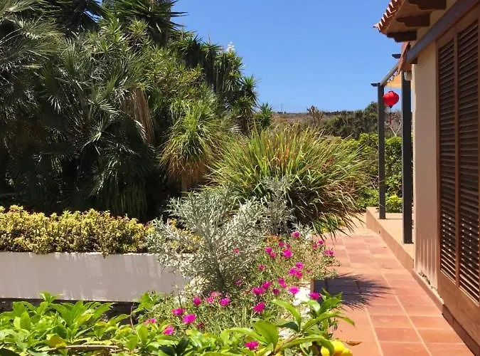 La Punta * Icod De Los Vinos