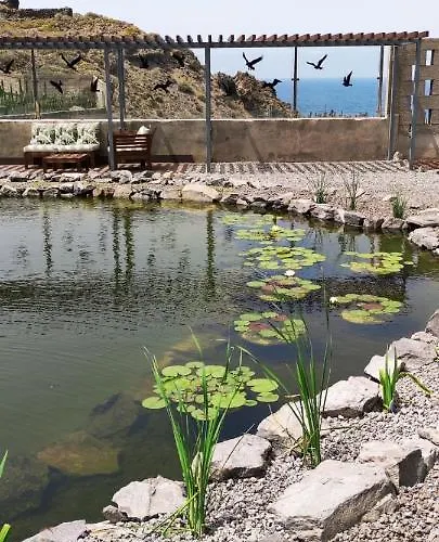 La Punta Apartamento Icod De Los Vinos