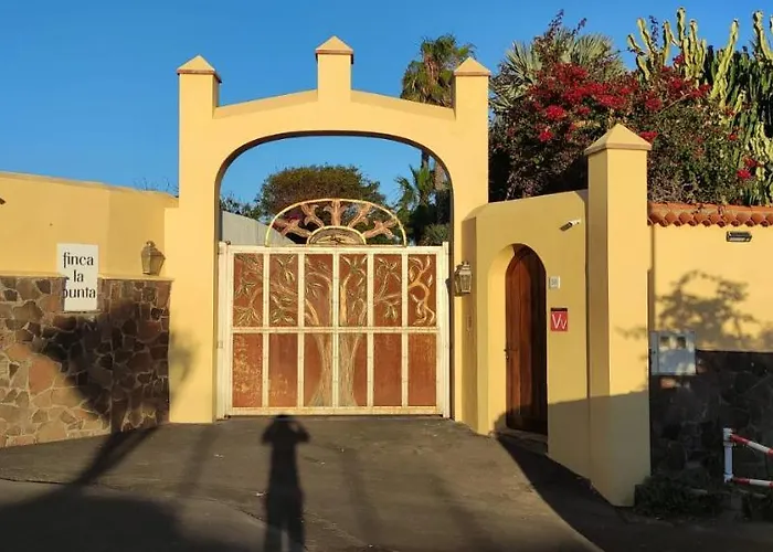 La Punta Icod de los Vinos