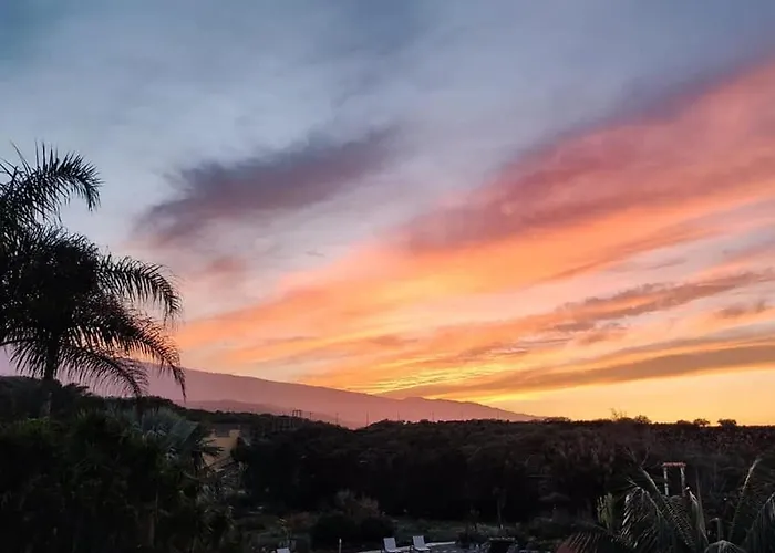 La Punta Apartamento Icod De Los Vinos