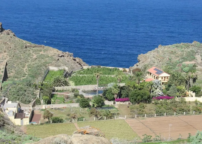 La Punta Icod De Los Vinos