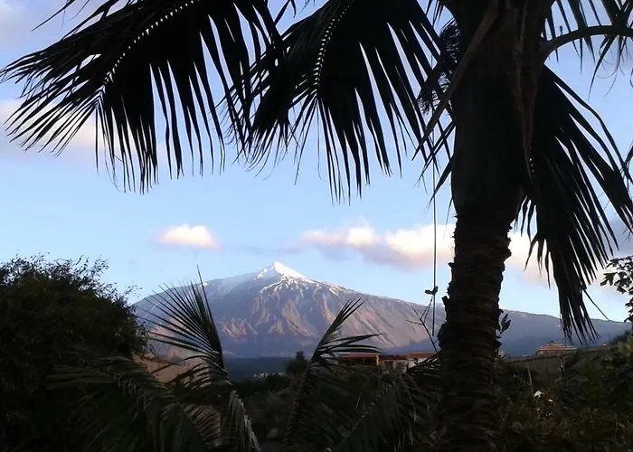 La Punta Icod De Los Vinos