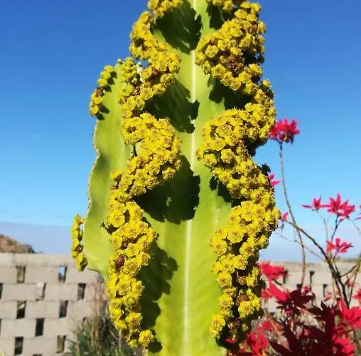 Apartamento La Punta