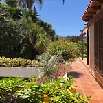 La Punta * Icod De Los Vinos