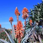 Διαμέρισμα La Punta Icod De Los Vinos