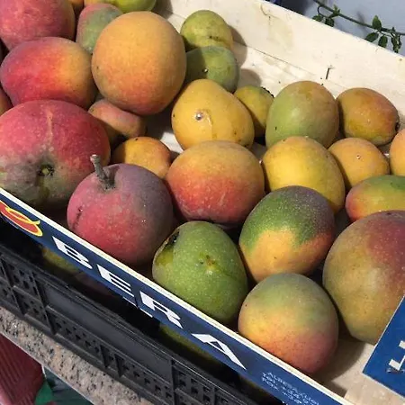 La Punta * Icod De Los Vinos