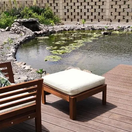 La Punta Icod De Los Vinos