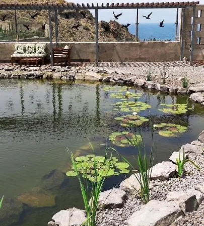 La Punta Apartmán Icod De Los Vinos