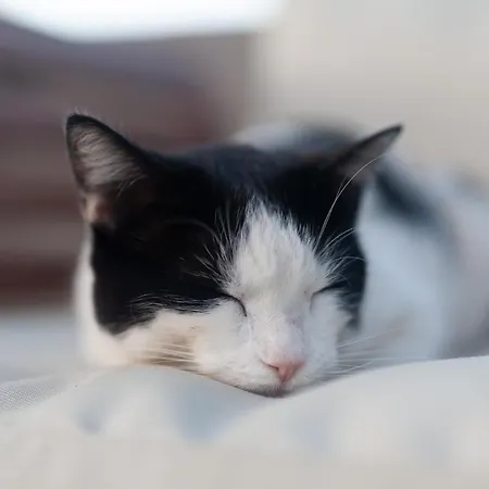 La Punta Apartmán *