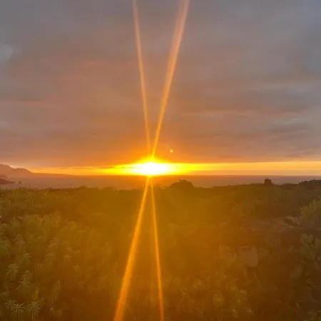 La Punta Icod De Los Vinos