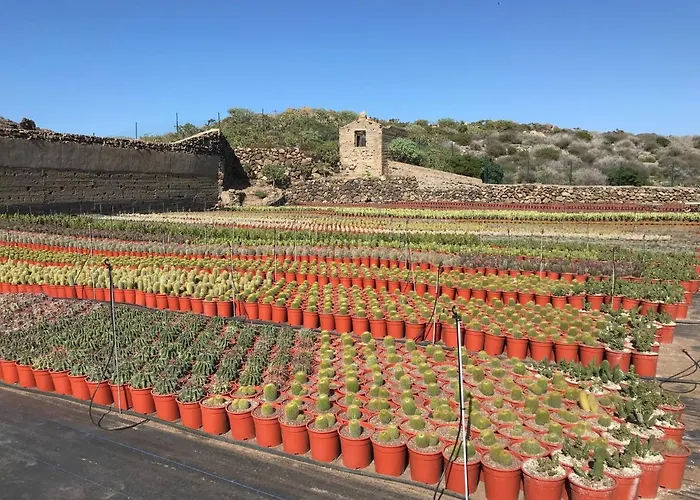 La Punta Lejlighed *