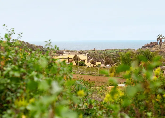 Lejlighed La Punta Icod De Los Vinos