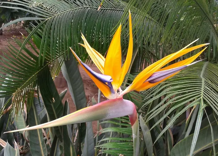 La Punta Apartment *