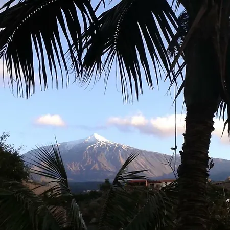 La Punta Icod De Los Vinos